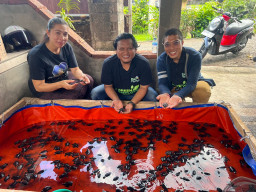 Salurkan TJSL Konservasi Penyu di Tabanan, Warga Antusias Pelajari Fitur PLN Mobile untuk Kemudahan Layanan