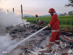 Diduga Korsleting Oven, Kandang Ayam di Jombang Ludes Terbakar