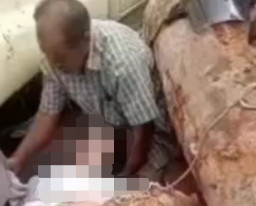 Pengendara Motor Nyaris Tewas Tertimpa Kayu Gelondongan dari Truk