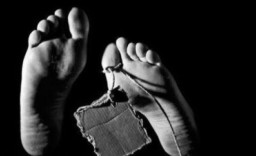 Mayat Manusia Jadi Tengkorak Ditemukan Dekat Kantor Kecamatan