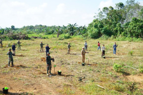 Sambut HUT Kodam VI/Mulawarman ke-66, Kodim 1022/Tanah Bumbu Adakan Penghijauan