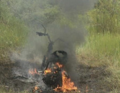 Gadis 18 Tahun Ditemukan Tewas Terbakar di Bumi Perkemahan