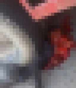 Tabrak Dump Truk, Pemotor Tewas