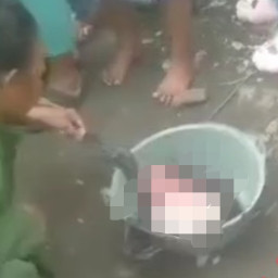 Bayi Laki-Laki di Kandang Ayam Gegerkan Warga Tangerang