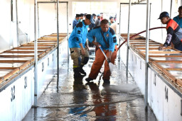 Pemkot Surabaya Tata Pasar Daging Arimbi Pegirian, Kembalikan Fungsi Jalan
