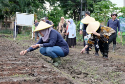 Harga Meroket, Pemkot Surabaya Manfaatkan Lahan BTKD untuk Tanam Cabai