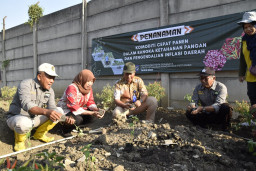 Harga Cabai Meroket di Petani, Pemkot Surabaya Gerakkan  Warga  Tanam Cabai