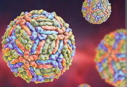 Israel Diserang Virus West Nile Mematikan, Gejalanya Mirip Flu