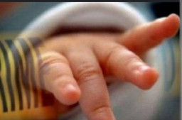 Dikira Kucing, ternyata Bayi dengan Ari-Ari Masih Menempel