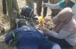 Mayat Pria Tertelungkup Ditemukan di Persawahan