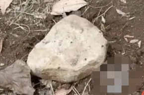 Mayat Bayi Dikubur di Kebun Warga, Kakinya Menyembul Keluar