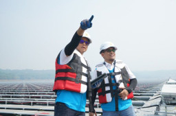 Dirut PLN Raih Penghargaan Tokoh Inspiratif Penggerak Transisi Energi