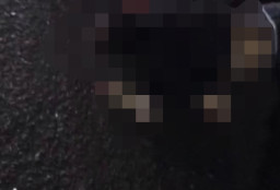 Tabrakan dengan Sigra, Pemotor Tewas dengan Kondisi Lengannya Putus