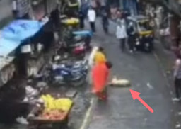 Bocah Usia 3 Tahun Tewas Tertimpa Anjing yang Jatuh dari Lantai 5