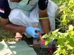 Mayat Bayi Ditemukan di Pinggir Rel KA Desa Kradenan Grobogan