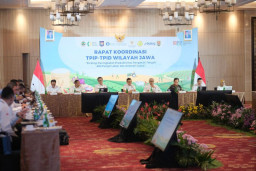 Pengendalian Inflasi Pangan Hadapi Peningkatan Alih Fungsi Lahan