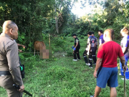 Diduga Niat Perkosa Sapi, Pria Ini Malah Ditanduk hingga Diinjak-injak Si Sapi