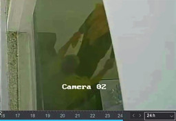 Video Pejabat Dinas Pemkab Jombang Diduga Lakukan Tindakan Asusila Viral di Medsos