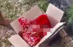  Bayi Cantik Ditemukan Dalam Kardus di  Semarang