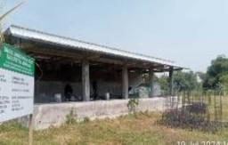 Bantuan Bibit Sapi di Jombang Tak Kunjung Terealisasi, Uang Diduga Digunakan Oknum Perangkat Desa