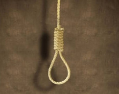 Mayat Pria Tergantung di Pohon Cengkeh Bikin Geger