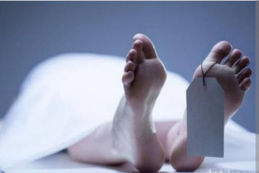 Diduga Jatuh dari Pohon Kelapa, Seorang Petani Ditemukan Tak Bernyawa