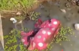 Warga  Digegerkan Penemuan Mayat Terbungkus Seprai di Bawah Jembatan