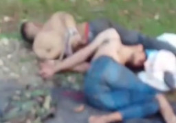 Curi Sapi Warga, Dua Pencuri Diamuk Massa, Satu Tewas