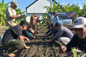 Pemkot Surabaya Gelar Penanaman Cabai dan Bawang Merah Serentak, Libatkan 60 Poktan Urban Farming