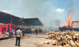 Pabrik Triplek di Ponorogo Terbakar Hebat, Api Diduga dari Pembakaran Sampah