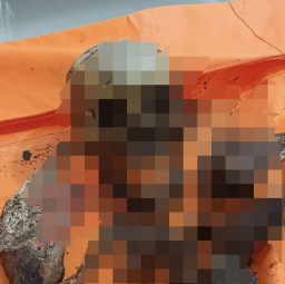 Kerangka Manusia Ditemukan di Dalam Parit Kebun Kelapa 