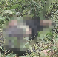 Gadis 17 Tahun Diduga Diperkosa lalu Dibunuh, Mayatnya Ditemukan di Hutanukan di