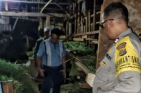 Empat Kambing Milik Warga Depok Dicuri, Pelaku Hanya Sisakan Jeroan di Sekitar Kandang