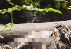 Wisatawan Temukan Mayat Perempuan Bugil Tertelungkup di Atas Batang Pohon
