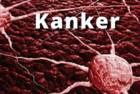 Orang Kaya Beresiko Kena Kanker, Orang Miskin Berpotensi Diabetes