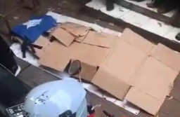 Diduga Ngantuk sambil Berkendara, Karyawan Bank Swasta Tabrak Mobil Boks