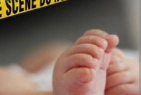 Jasad Bayi Ditemukan Dekat Kandang Ayam