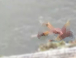 Jasad Perempuan Telanjang Ditemukan Mengapung di Sungai Sampean 