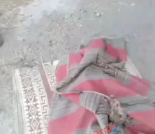 Masuk ke Abu Panas, Bocah 8 Tahun Tewas