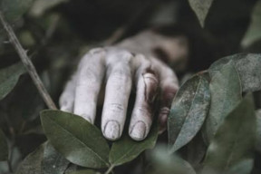 Mayat Membusuk Ditemukan di Kebun Pak Nerimo