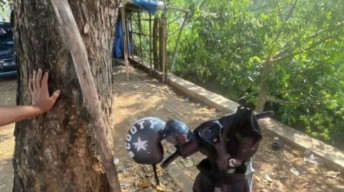 Pasutri Bawa 2 Anak Naik Motor, Tertimpa Pohon Tumbang