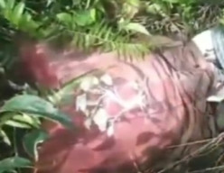 Warga Temukan Tengkorak Manusia, Diduga Mahasiswa Unlam yang Hilang