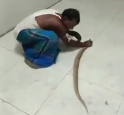 Pria Ini Bawa Ular Berbisa di Rumah Sakit, Tim Medis Ketakutan