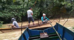 Saat Mandi setelah Panen Sawit, Warga Desa Cantung Kiri Hilir Diserang Buaya