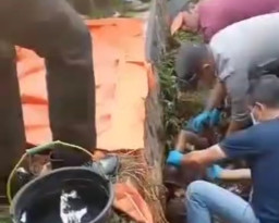 Siswa SMPN 1 Cidahu Kelas 9, Ditemukan Tak Bernyawa di Parit