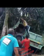 Truk Rem Blong Tabrak 5 Kendaraan di Jalur Puncak Cianjur, 10 Orang Luka