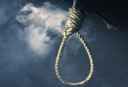 Pria Gantung Diri di Kebun Sawit, Bikin Heboh Warga