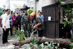 Wali Kota Eri Cahyadi Gerak Cepat Bantu Warga Manyar Tegal Terdampak Angin Puting Beliung