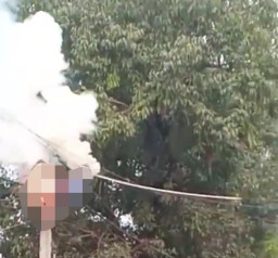 Panjat Tiang untuk Perbaiki Kabel, Petugas Kelistrikan Kesetrum