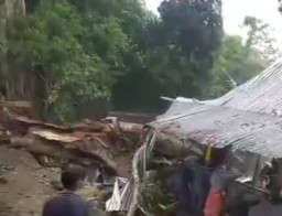 Pohon Tumbang Timpa Rumah Makan di Wisata Alam Soppeng, 9 Tewas